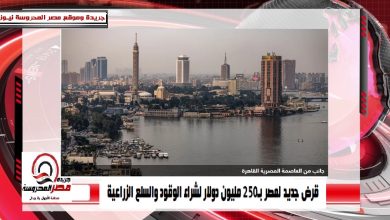 صورة قرض جديد لمصر بـ250 مليون دولار لشراء الوقود والسلع الزراعية